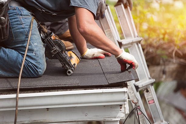 Best Gutter Installation and Roofing  in Blackwater, AZ